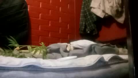 Snapshot of nocturnus1980 chatting on 09/23/25, 05:21 nocturnus1980 online show from 09/23/25, 05:21