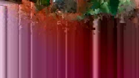 nocturnus1980 online show from 01/16/26, 05:44