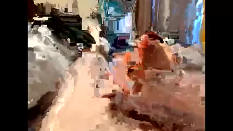 nolplus online show from 03/05/25, 05:40