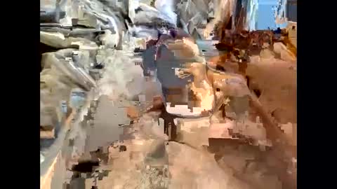 nolplus online show from 03/07/25, 07:19