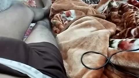 Snapshot of nooby942461 chatting on 12/03/24, 07:11 sim nib online show from 12/03/24, 07:11