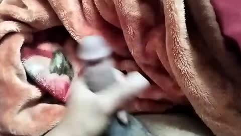 Snapshot of nooby942461 chatting on 12/28/24, 05:44 sim nib online show from 12/28/24, 05:44