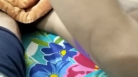 Snapshot of nooby942461 chatting on 01/09/25, 08:44 sim nib online show from 01/09/25, 08:44