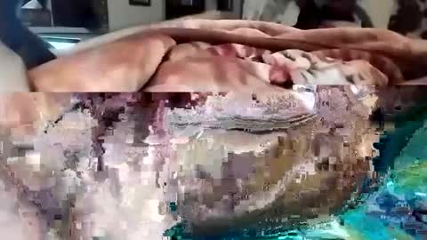 Snapshot of nooby942461 chatting on 03/01/25, 10:31 sim nib online show from 03/01/25, 10:31