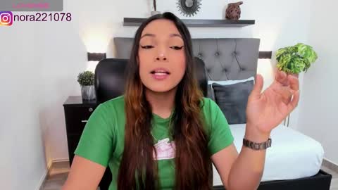 Snapshot of nora22xx chatting on 02/20/25, 02:29 Nora online show from 02/20/25, 02:29