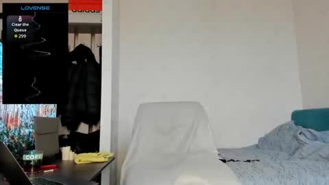 North stallions online show from 02/19/26, 07:04