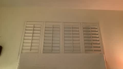 noscandal online show from 11/14/25, 05:06