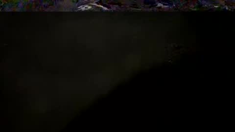 DarqLight online show from 05/04/26, 03:02