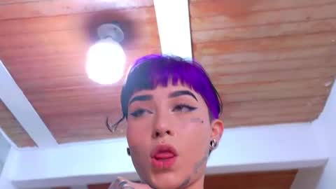 Nova kitty tx online show from 04/15/26, 10:54