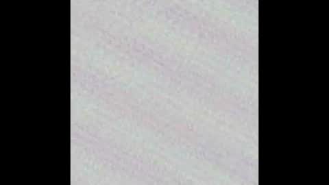 Novinhoo online show from 03/09/26, 02:26