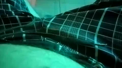 NuttyProfesir online show from 04/04/26, 01:19