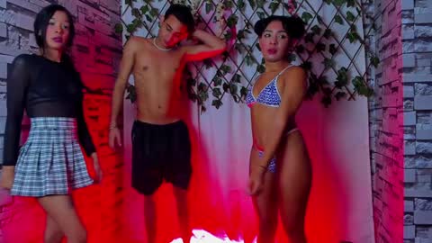 Powerfull tree69 online show from 02/01/25, 02:37