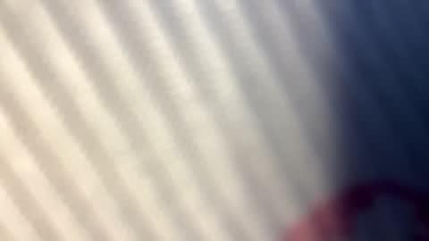 Nicol online show from 09/25/25, 07:34