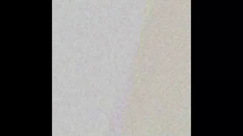 nycsupplier online show from 02/21/26, 01:12