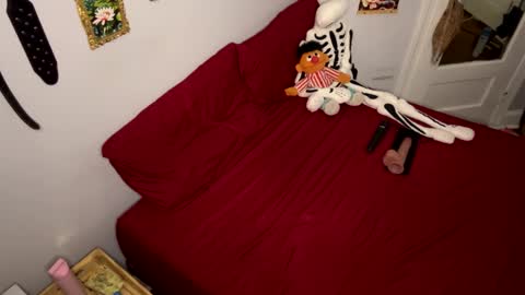 Nymphaea online show from 03/24/26, 11:21