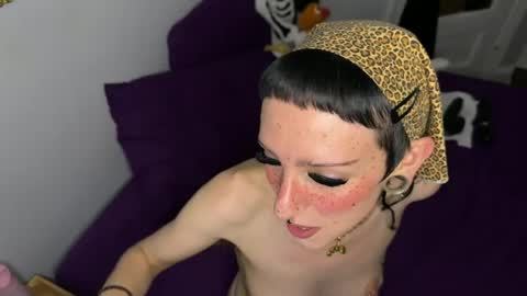 Nymphaea online show from 06/12/26, 11:35