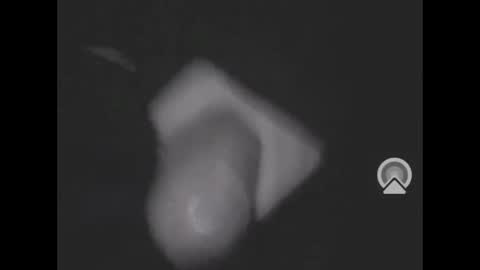 nympham online show from 04/08/26, 05:07