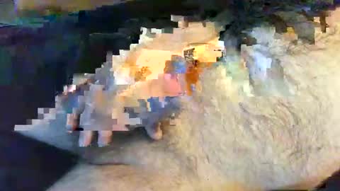 o269x2 online show from 05/30/26, 10:12