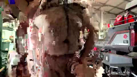 odang_13 online show from 02/21/26, 10:55