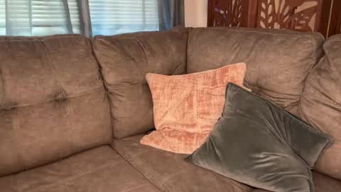 Snapshot of officiallyonlytams chatting on 09/09/25, 03:11 Tams online show from 09/09/25, 03:11