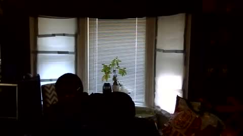 Snapshot of oflores77 chatting on 02/16/26, 03:08 oscar flores online show from 02/16/26, 03:08