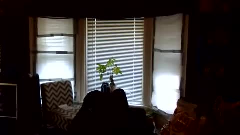 Snapshot of oflores77 chatting on 02/24/26, 01:42 oscar flores online show from 02/24/26, 01:42