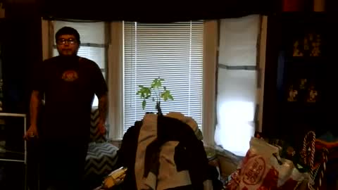 Snapshot of oflores77 chatting on 03/01/26, 01:02 oscar flores online show from 03/01/26, 01:02