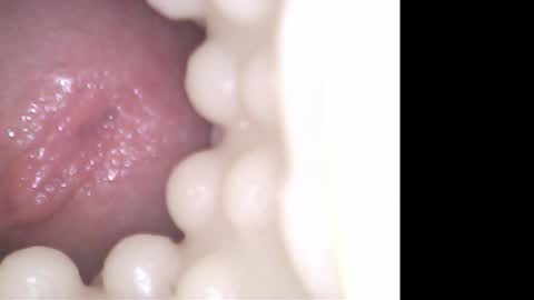 ohioguy4201985 online show from 04/21/26, 06:34