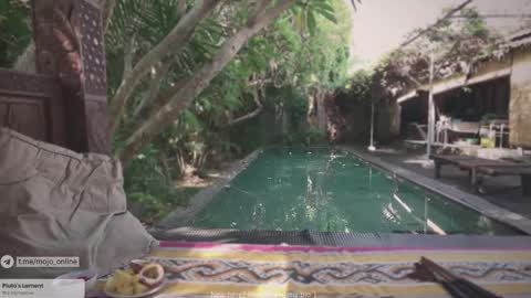 Mo online show from 11/11/25, 01:05