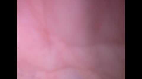 oldaddy2 online show from 02/23/26, 12:46