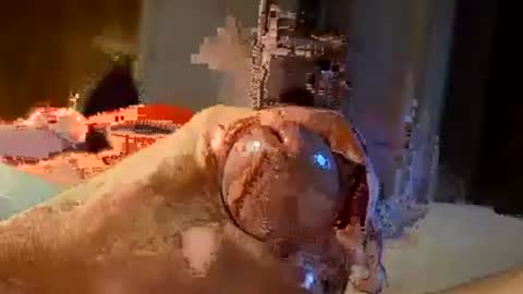 oldermtl online show from 07/11/26, 12:13