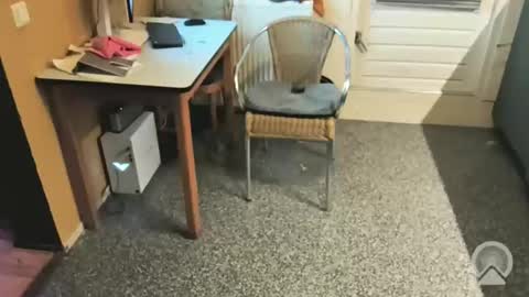 oldersagger online show from 12/04/25, 05:43