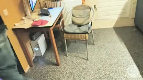 oldersagger online show from 12/05/25, 05:09