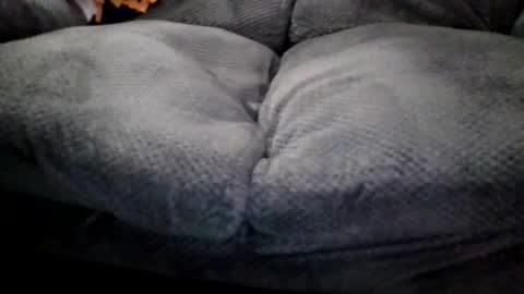 OldMIGUY online show from 04/15/26, 12:12