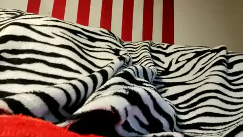 Snapshot of olewrench945706 chatting on 09/17/25, 04:25 Laura online show from 09/17/25, 04:25