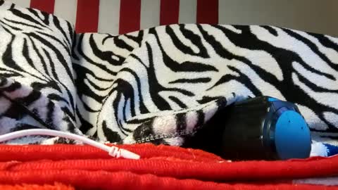 Snapshot of olewrench945706 chatting on 09/18/25, 06:04 Laura online show from 09/18/25, 06:04