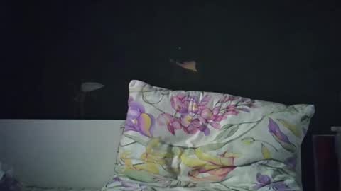 Snapshot of olivepeach chatting on 04/23/26, 02:19 Oil online show from 04/23/26, 02:19