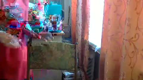 Olivia Mia online show from 04/24/26, 08:50