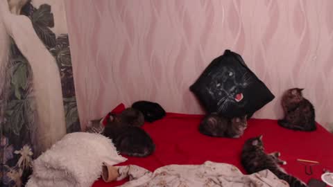 Olivia online show from 02/05/25, 08:46