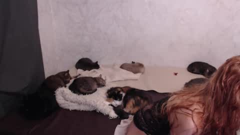 Olivia online show from 01/13/26, 04:23