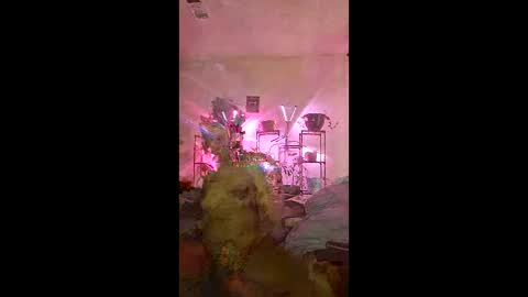 onfleektigress online show from 05/03/26, 11:33
