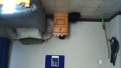 Snapshot of only_you754944 chatting on 10/01/25, 05:35 For me to know online show from 10/01/25, 05:35