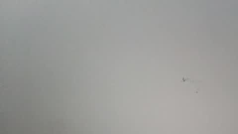 oooxxxrrr online show from 01/12/26, 11:10