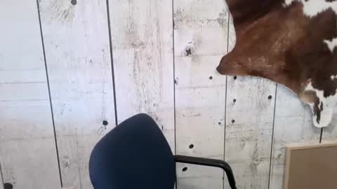 Snapshot of openmindedcowboy chatting on 11/01/25, 03:25 kinkynerd online show from 11/01/25, 03:25