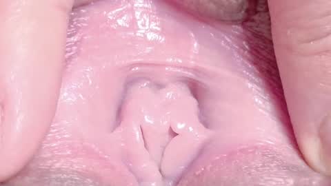 orchidekitty online show from 04/01/26, 09:12