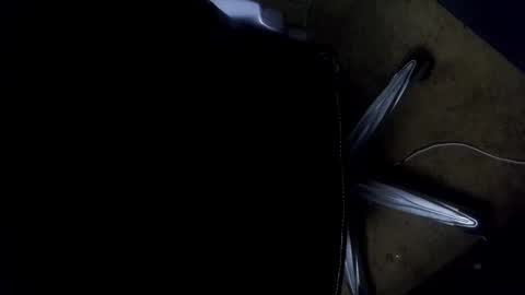 orgasmgiver9090 online show from 11/07/25, 07:36