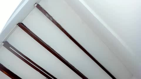 Miss Guzman  online show from 01/29/25, 05:45