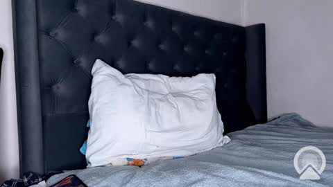 origamicat online show from 01/26/25, 12:22