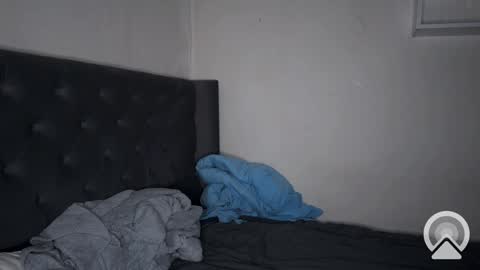 origamicat online show from 02/06/25, 03:20