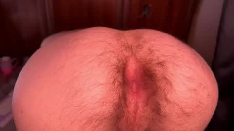 origamicat online show from 10/13/25, 11:05